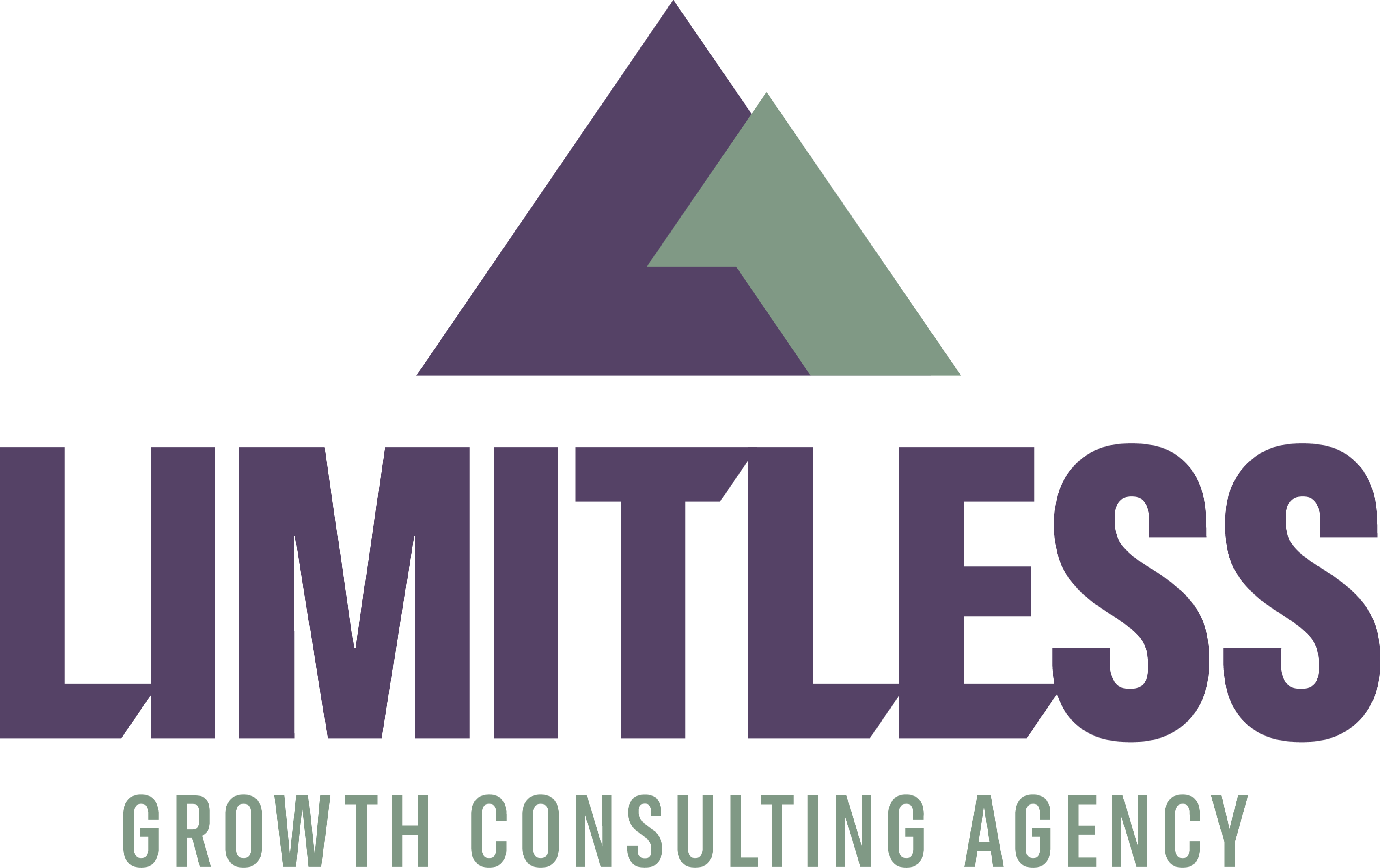 Limitless Growth Consulting Agency
